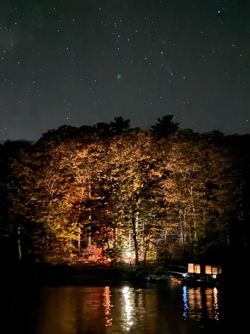 Nautilus Floating Island Cabin Cabin in Monmouth