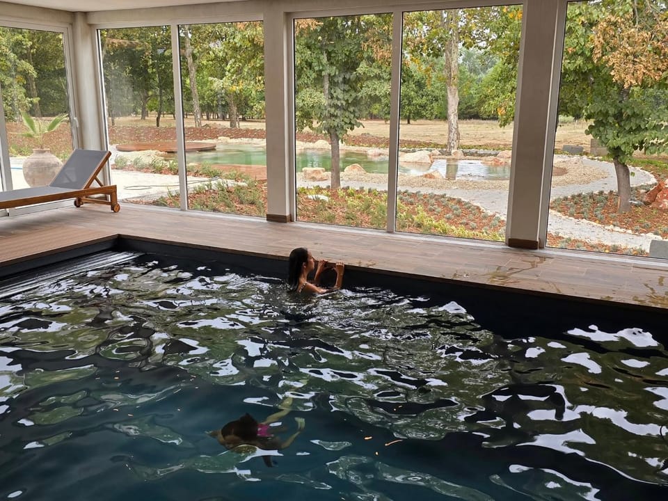 Natural landscape, Garden view, Swimming pool