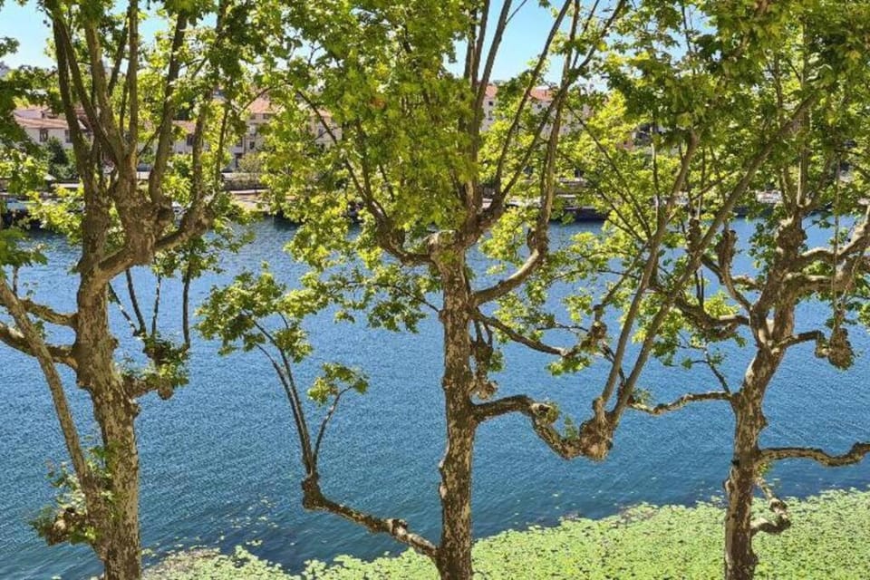 Porte du Vieux Lyon 2, le long du quai Apartment in Lyon