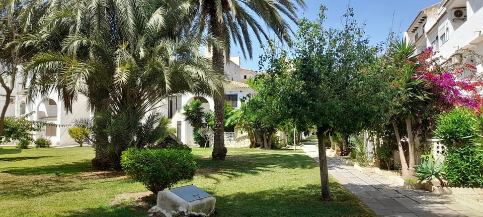 Day, Garden, Garden view