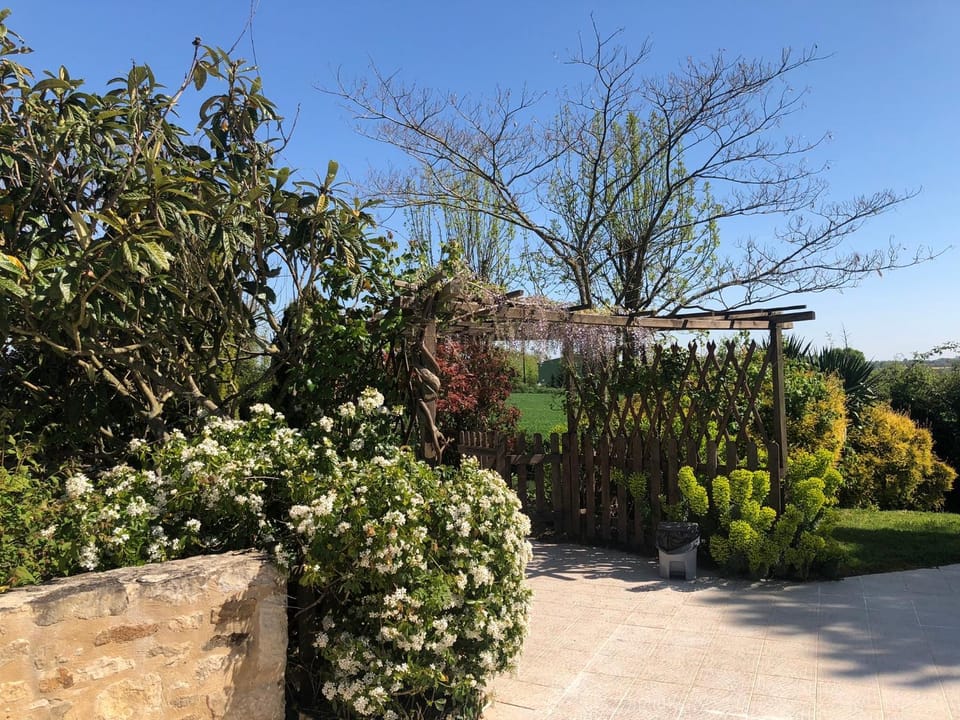 Natural landscape, Garden view
