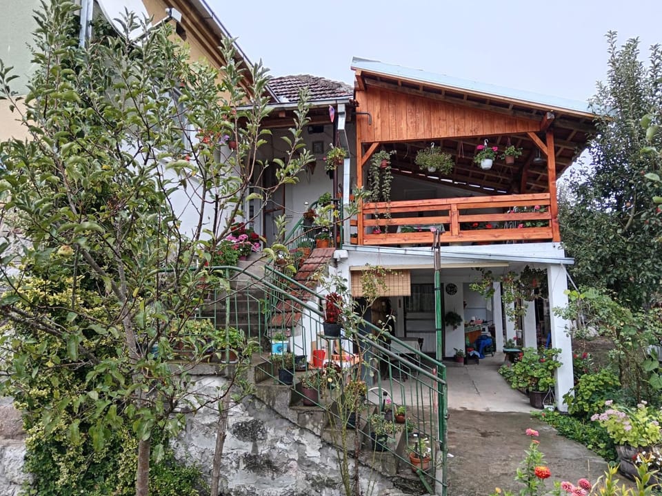 STD Verice Đorđević Country House in Serbia