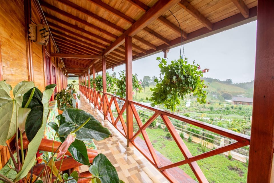 Spring, Natural landscape, Garden view, Mountain view