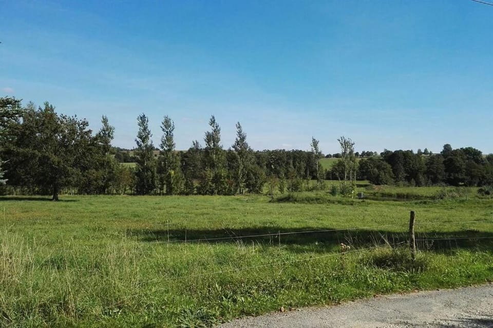 Day, Neighbourhood, Natural landscape