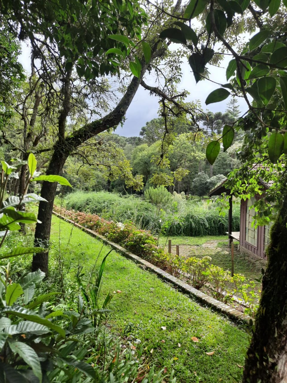 Garden view
