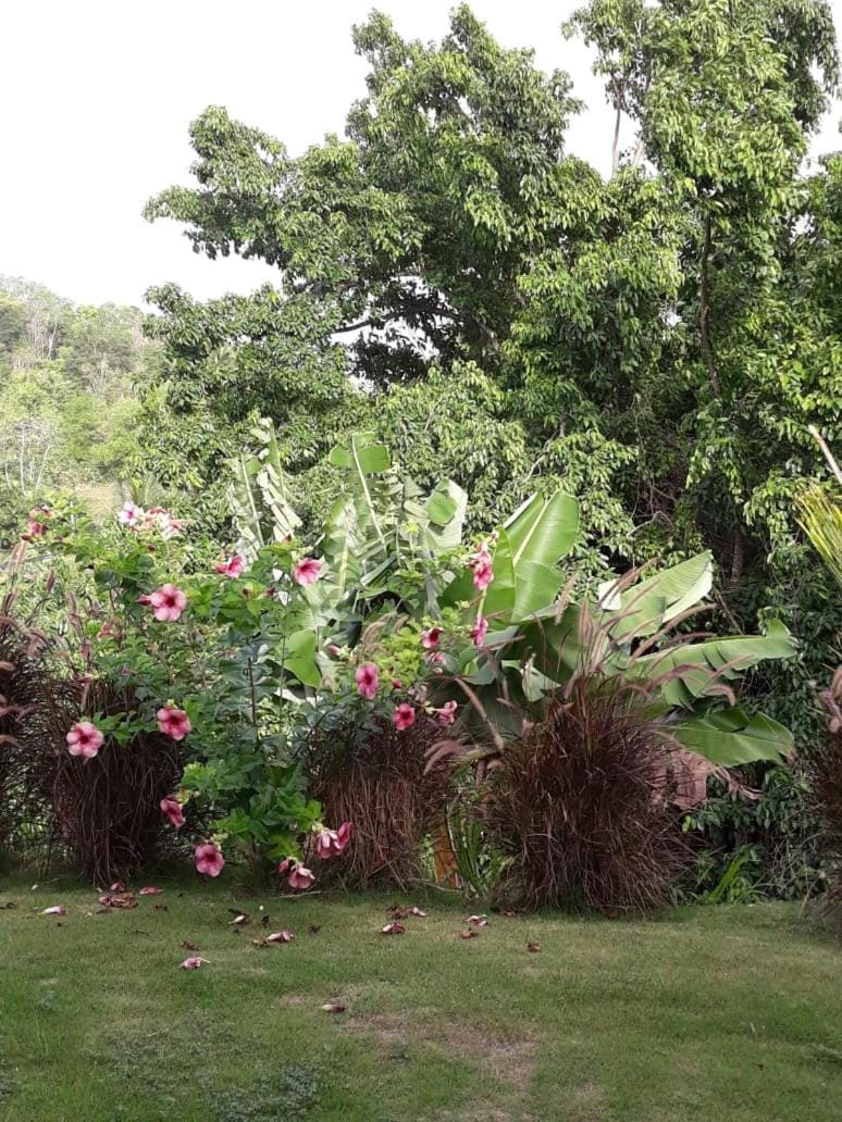 Natural landscape