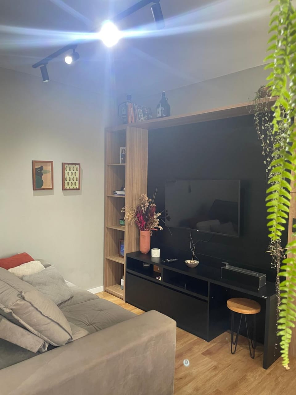 Communal lounge/ TV room, TV and multimedia, Living room