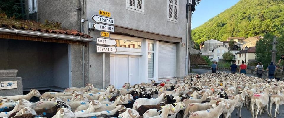 Petit village authentique Apartment in Occitanie