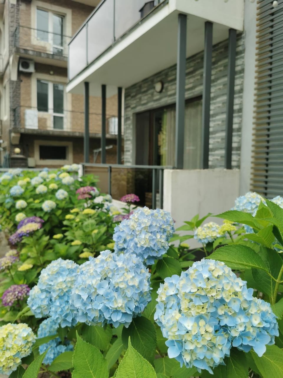 Day, Garden