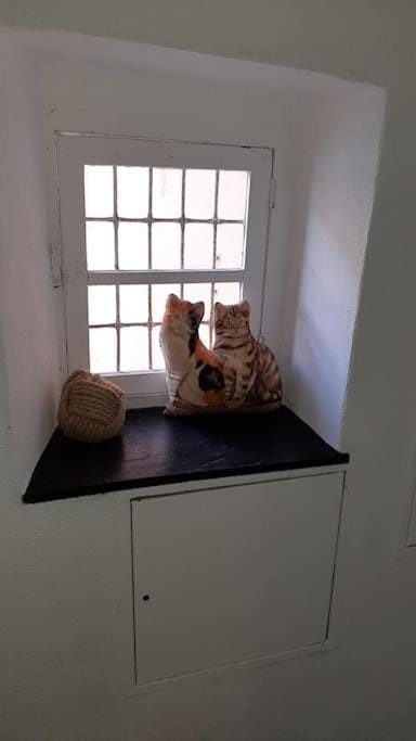 A casa di Silvia Apartment in Camogli