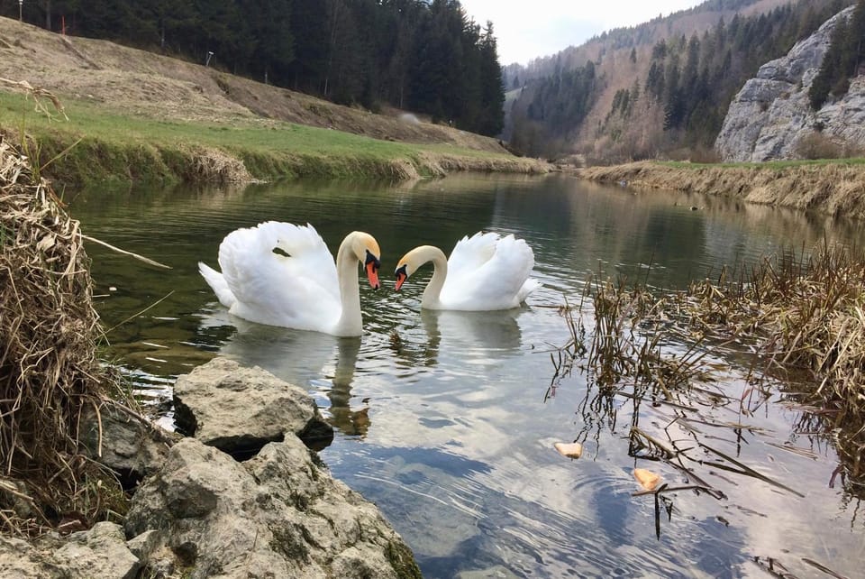 Nearby landmark, Natural landscape, River view