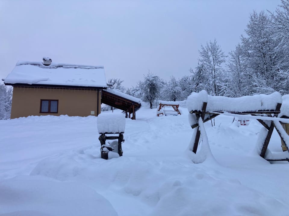 Day, Natural landscape, Winter