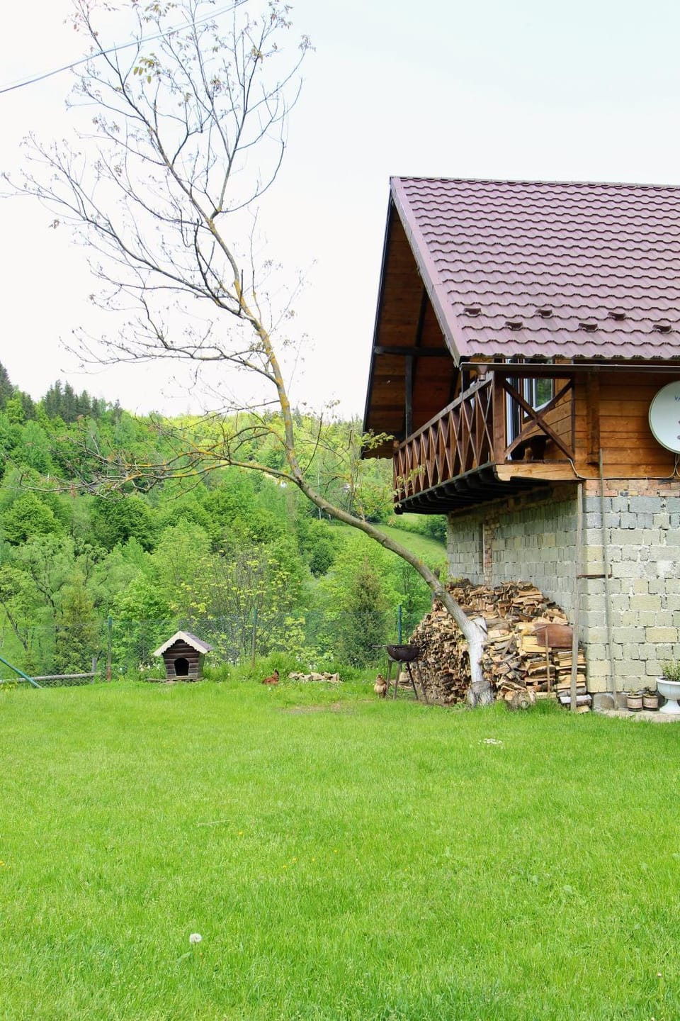 Property building, Day, Natural landscape
