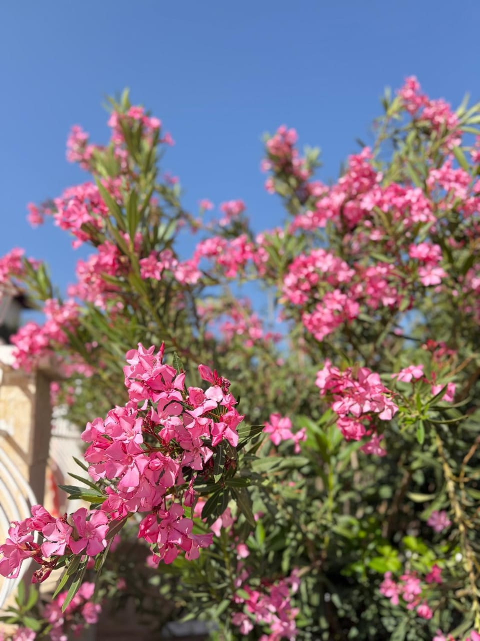 Feraye Villas Villa in Antalya Province