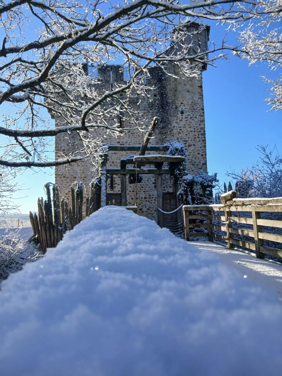Winter