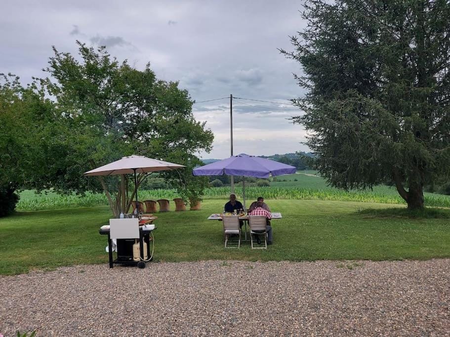 Day, People, Garden view