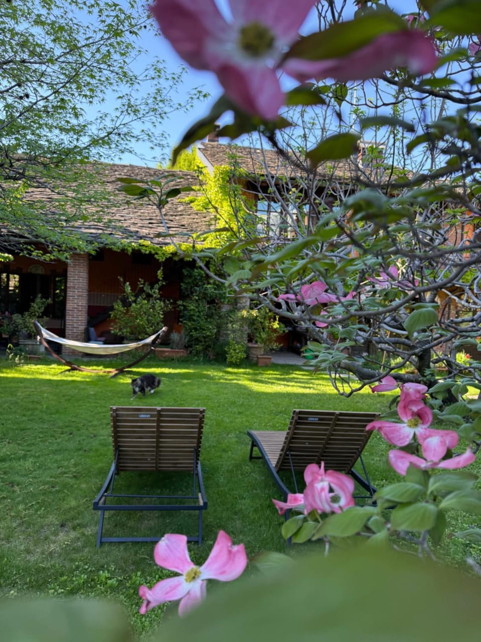 Spring, Day, Garden