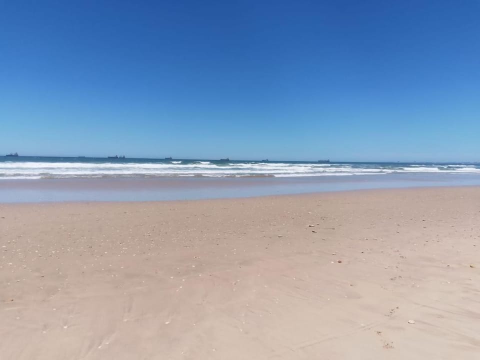 Gecko Units Apartment in Port Elizabeth