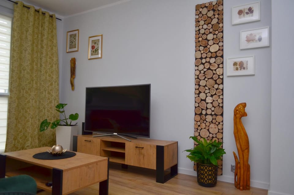 Communal lounge/ TV room, TV and multimedia