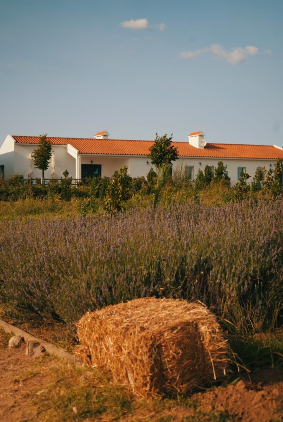 Property building, Spring, Day, Natural landscape