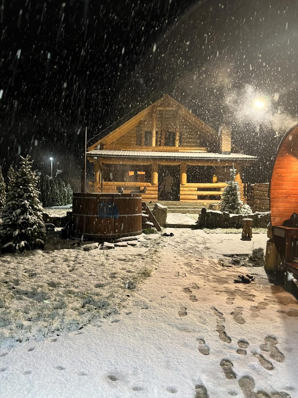 Cabana Butura House in Romania
