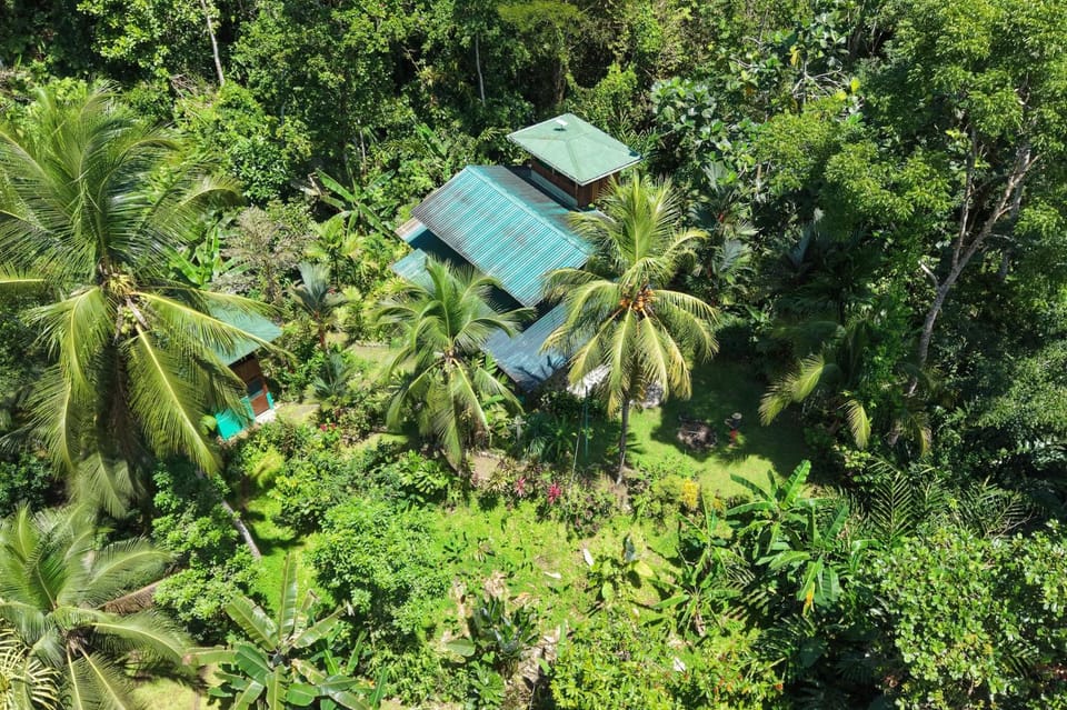 Property building, Bird's eye view