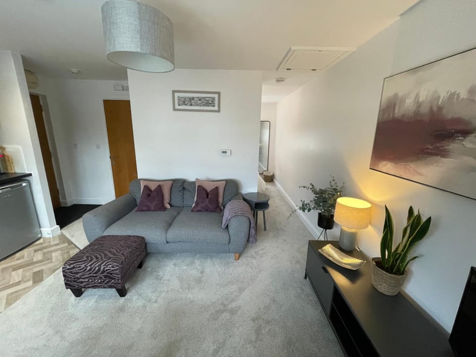 Compact Modern Apartment Single Person or Couple Only Apartment in Bangor