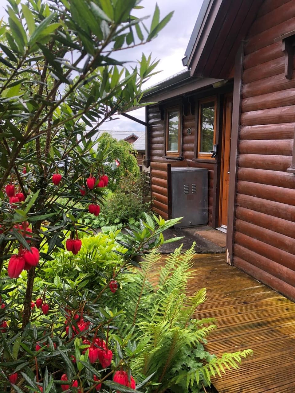 Property building, Garden, Garden view