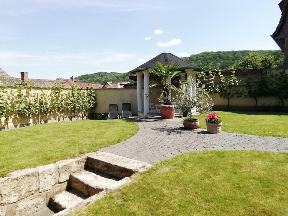 Garden, Garden view, Mountain view