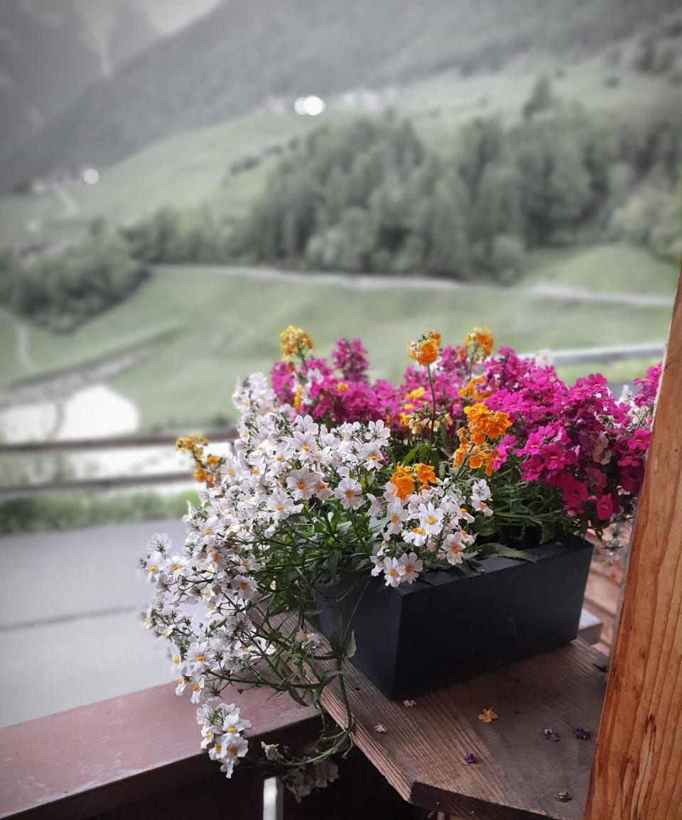 Balcony/Terrace, Balcony/Terrace
