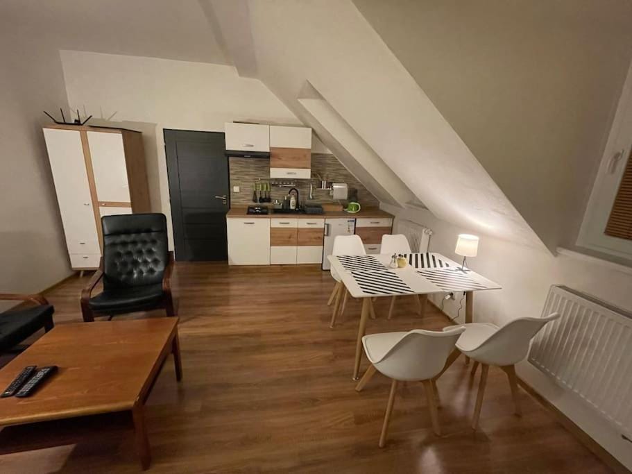Francis Apartment I- Spa Center Karlovy Vary Apartment in Czechia