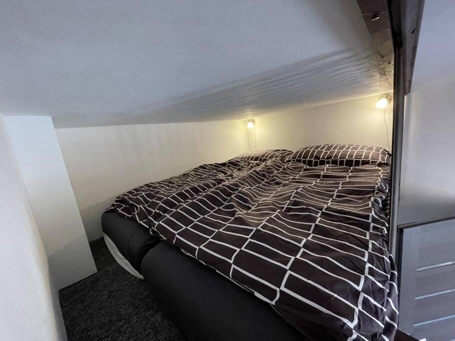 Francis Apartment I- Spa Center Karlovy Vary Apartment in Czechia