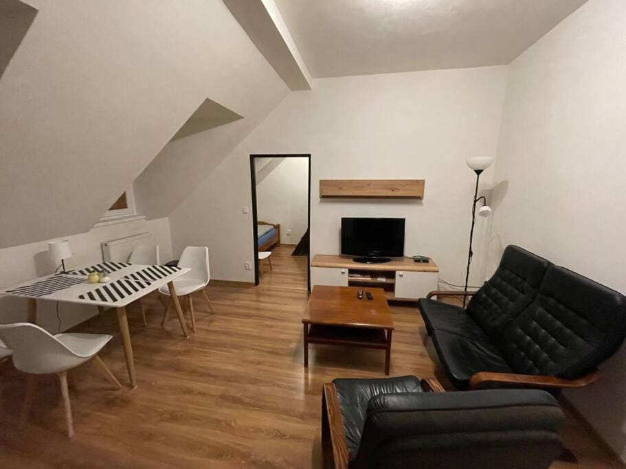 Francis Apartment I- Spa Center Karlovy Vary Apartment in Czechia