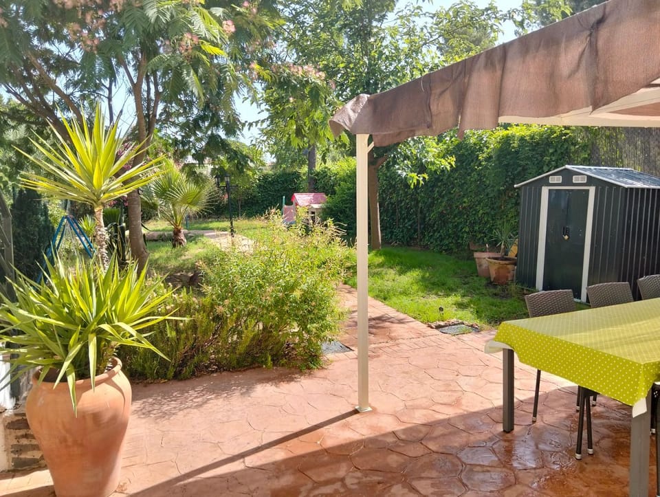 Day, Summer, Garden