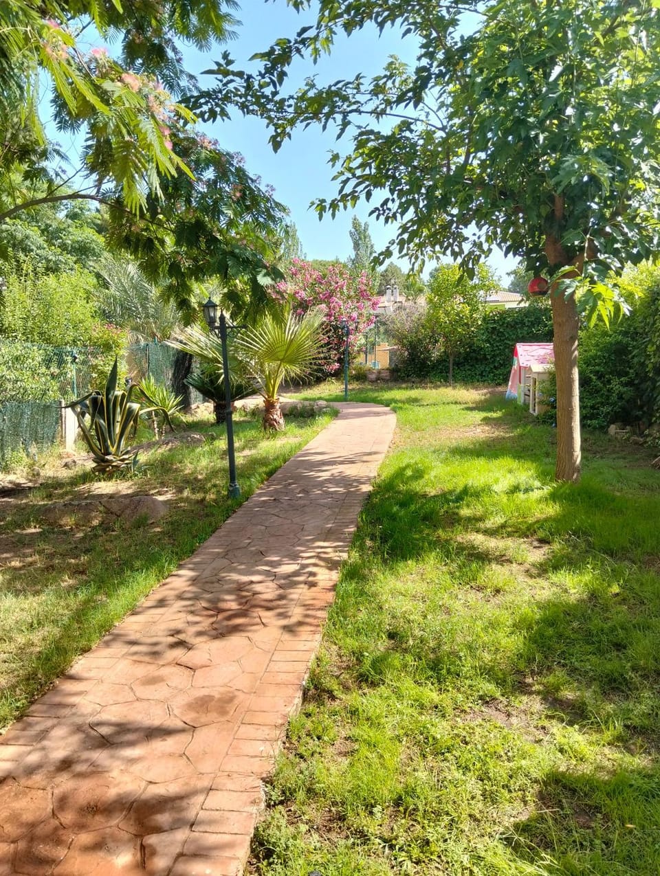 Summer, Garden