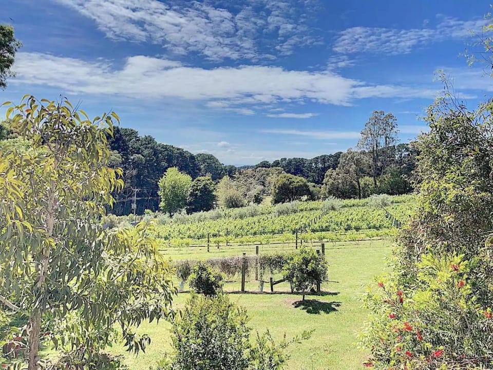 Red Hill Lane 5BedroomVineyard&RuralValleyViews Villa in Red Hill