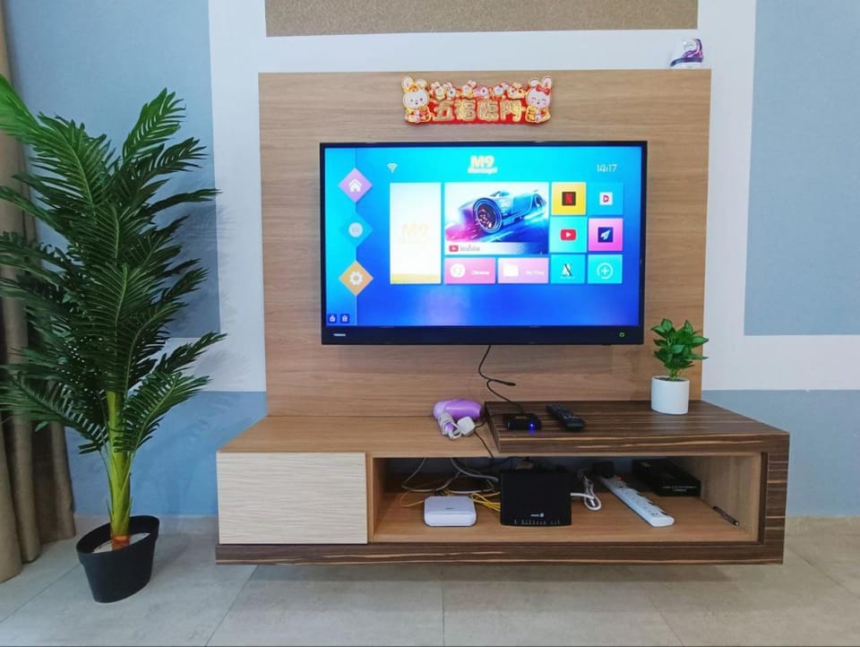 TV and multimedia