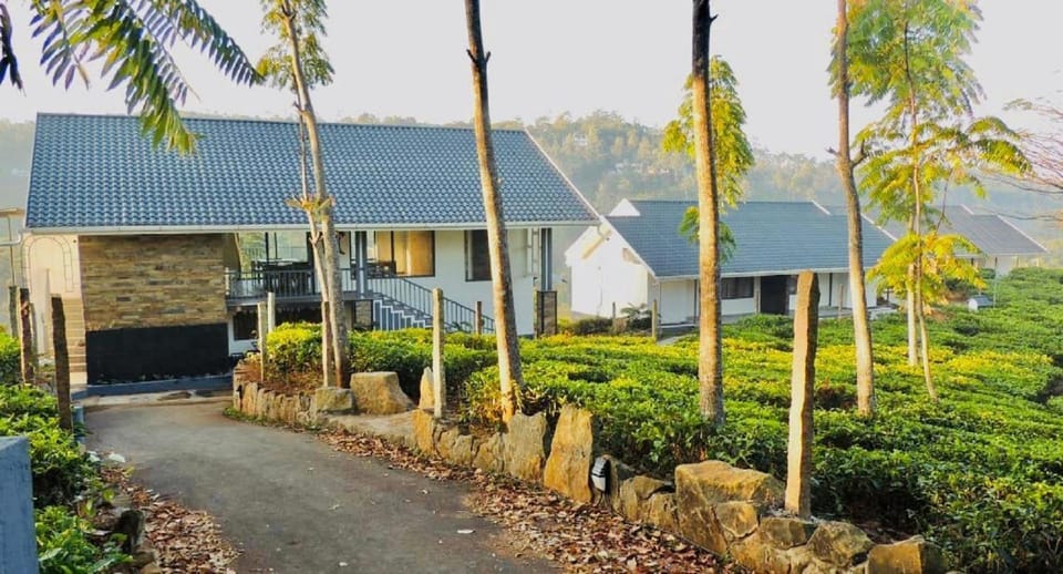 Property building, Spring, Day, Natural landscape, Garden, Garden view