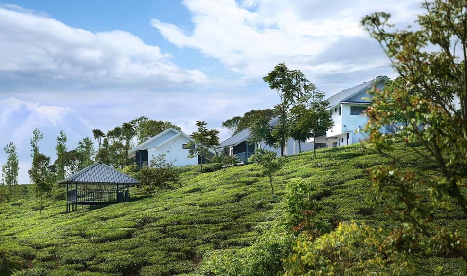 Spring, Day, Natural landscape, Garden, Garden view, Mountain view