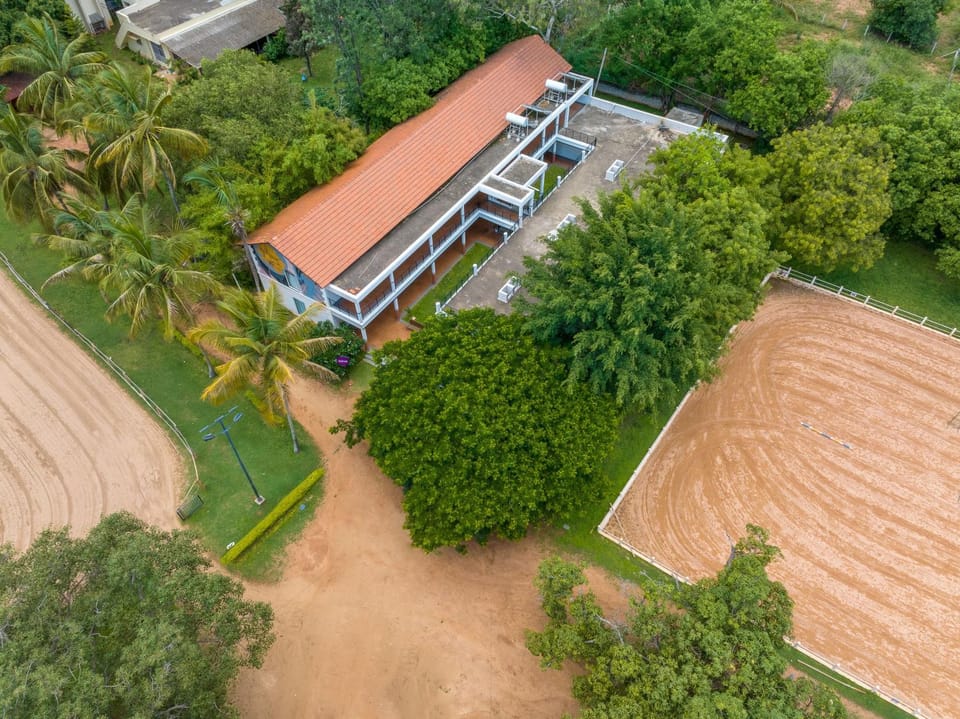 Neighbourhood, Natural landscape, Bird's eye view