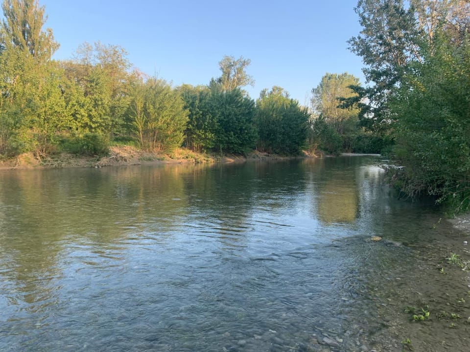Natural landscape, Garden, River view