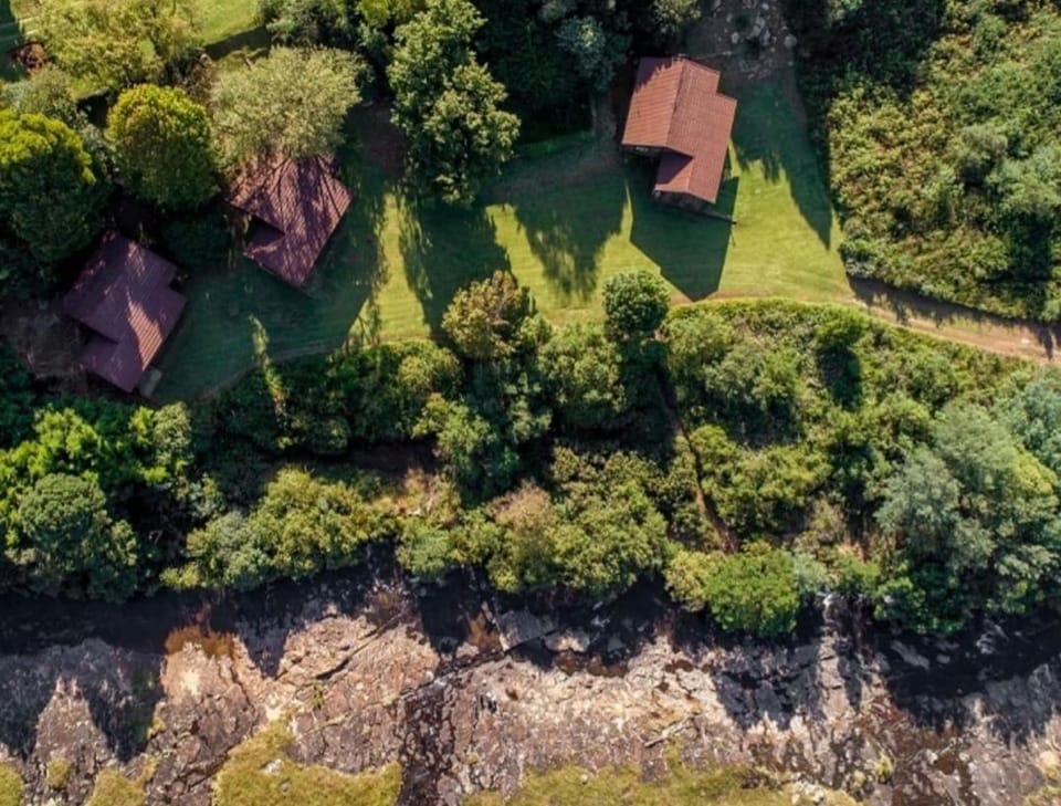 Property building, Spring, Day, Natural landscape, Bird's eye view, Garden, Garden view