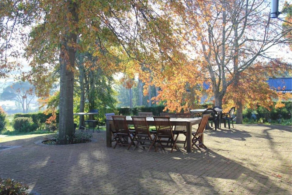Garden, Autumn, Garden view, Time of day