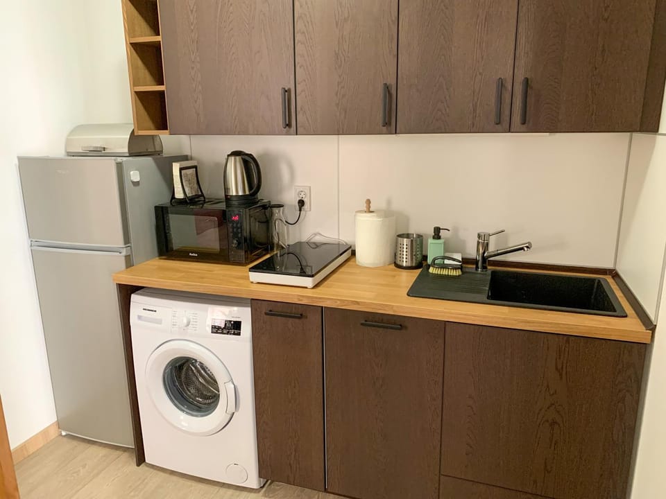 Kitchen or kitchenette, dishwasher, minibar, pet friendly, washing machine