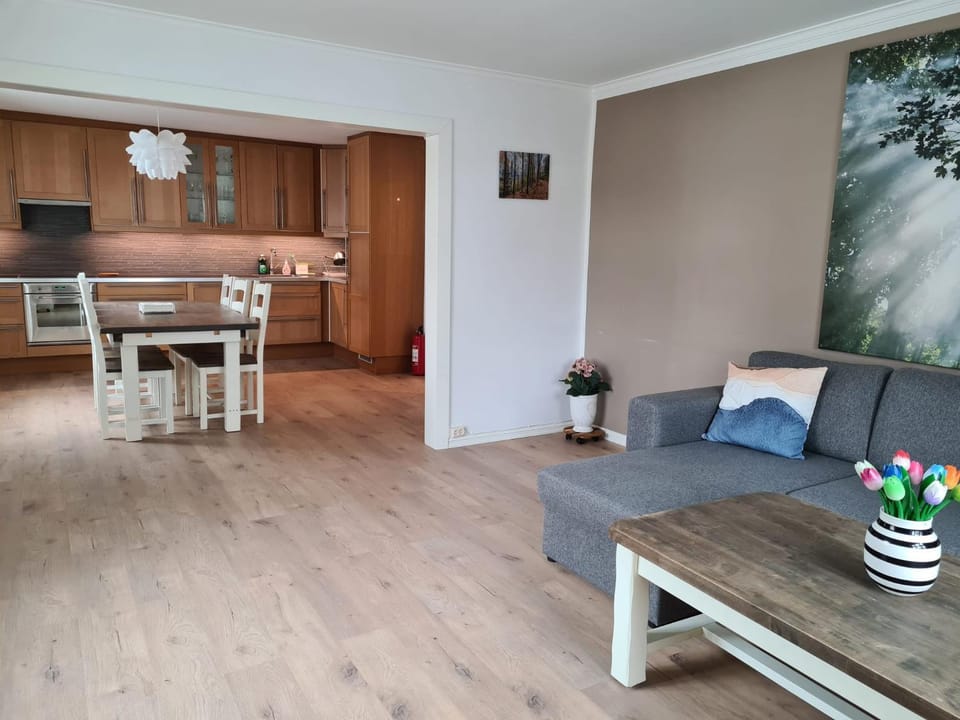 Living room, kitchen