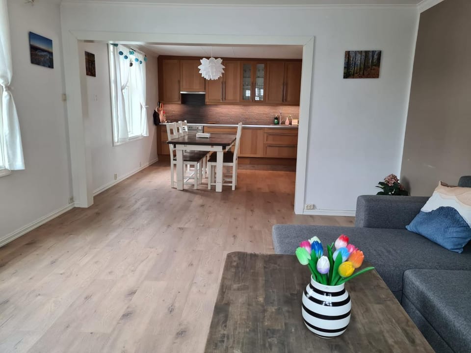 Living room, kitchen