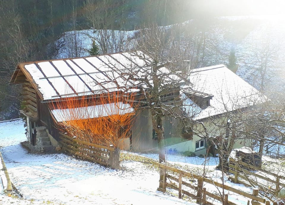 Property building, Winter