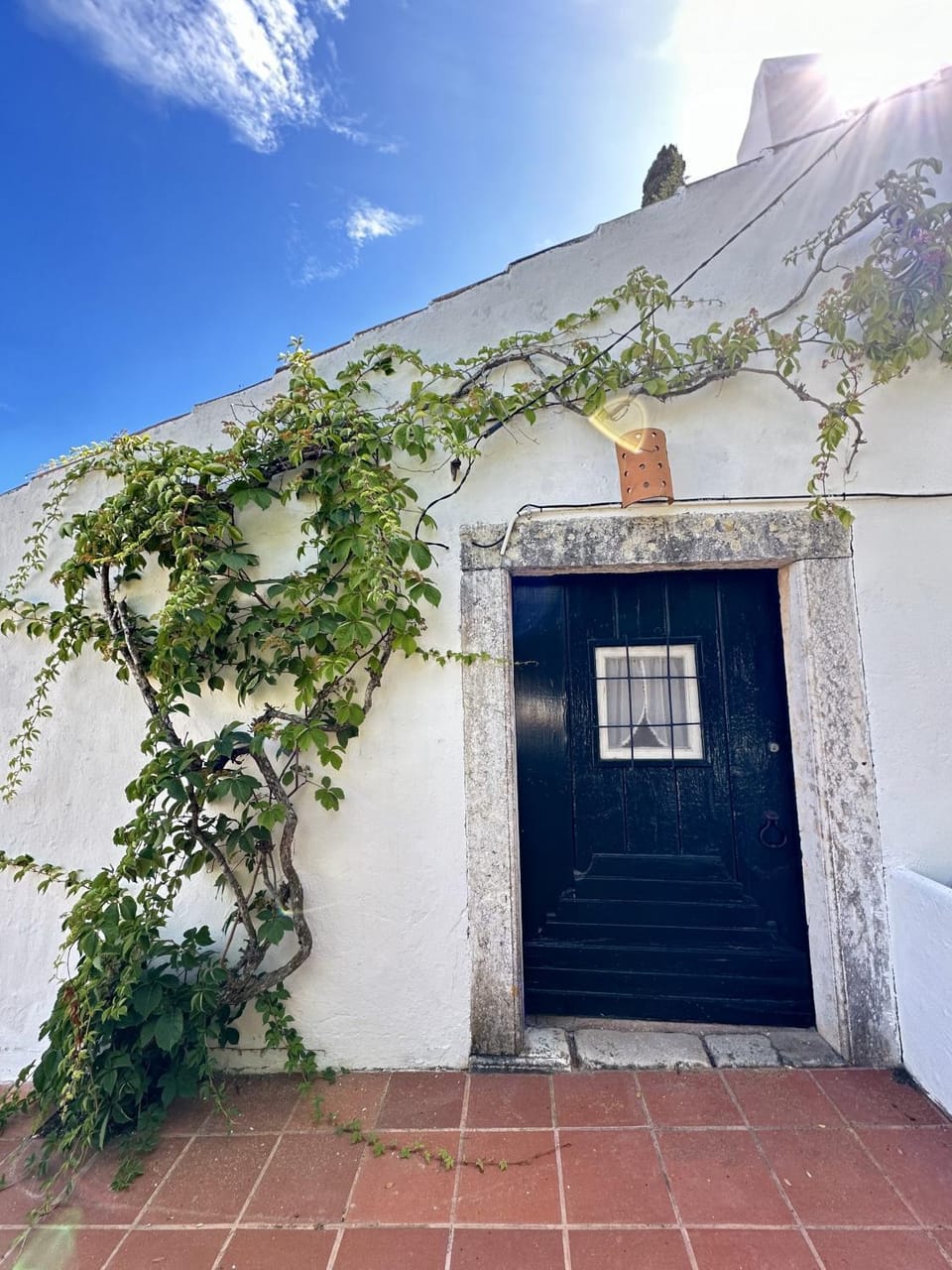 Property building, Day