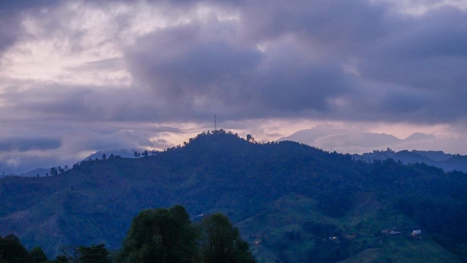 Mountain view