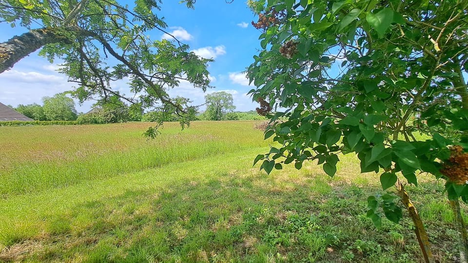 Spring, Day, Natural landscape, Garden, Garden view